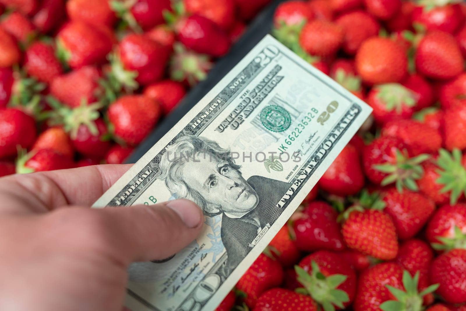 Male paying 20 dollars for strawberry by VitaliiPetrushenko