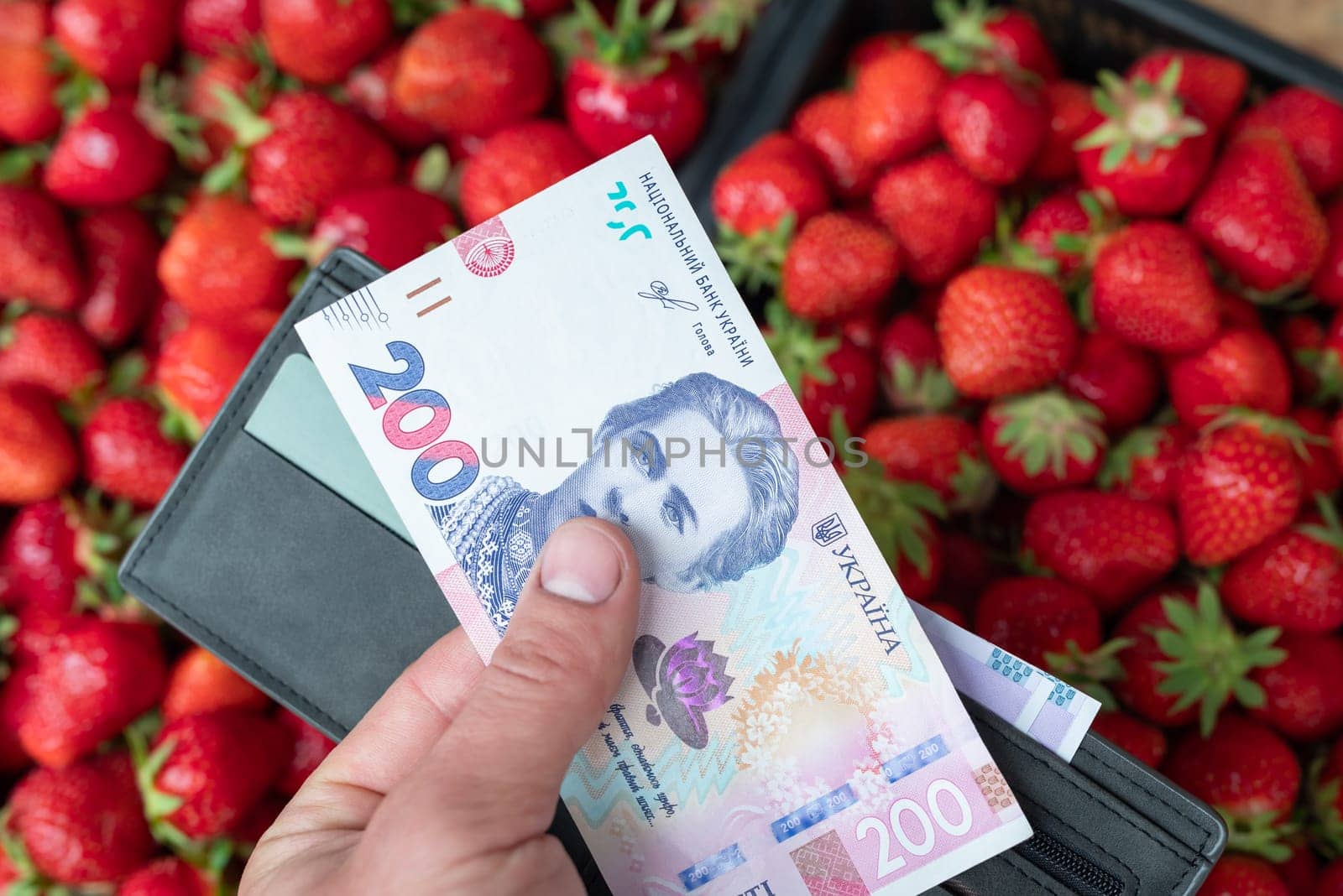 Ukrainian 200 hryvnia banknote in front of strawberries, ready to buy some berries