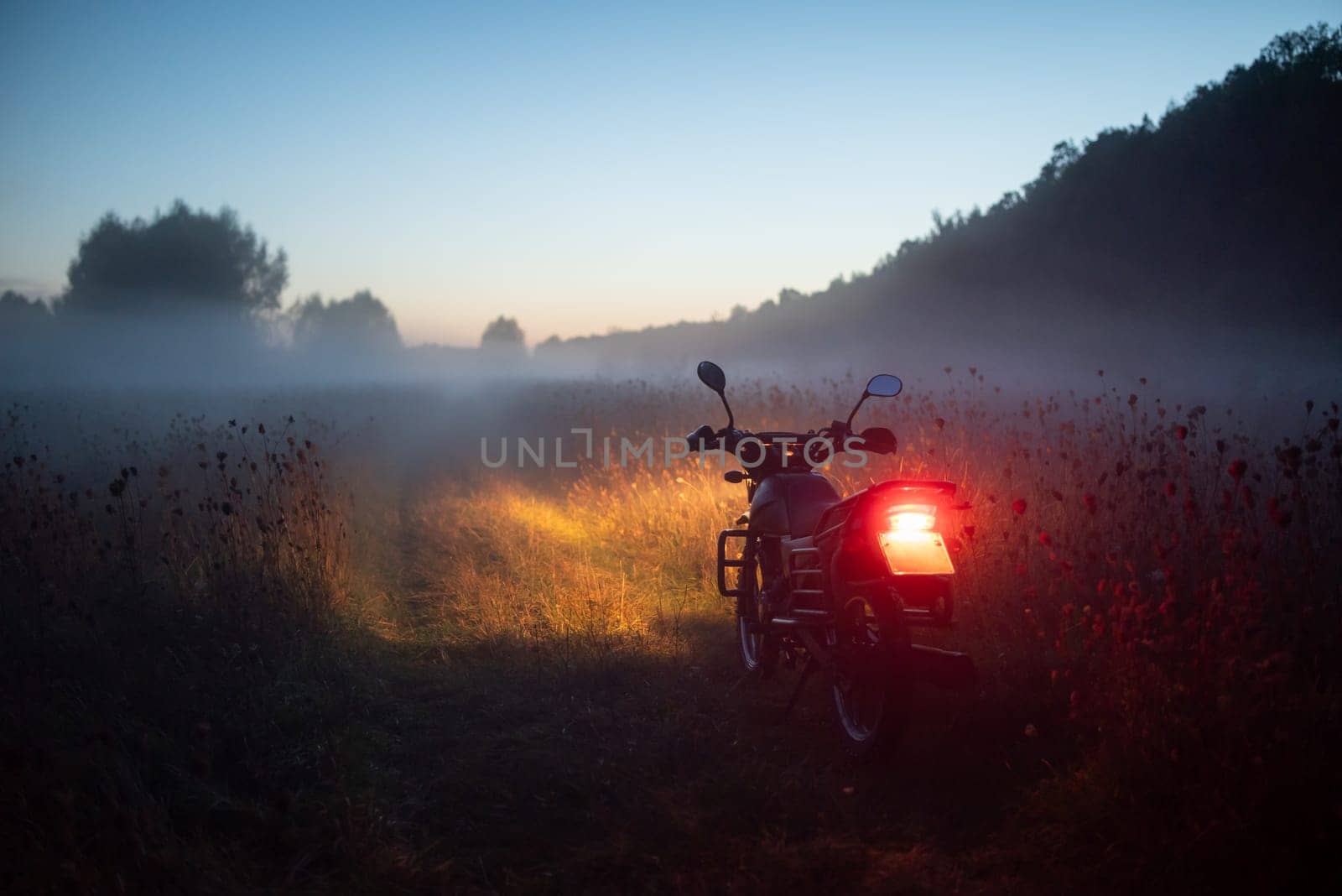 Motorcycle with its light on in the foggy field on a late evening by VitaliiPetrushenko