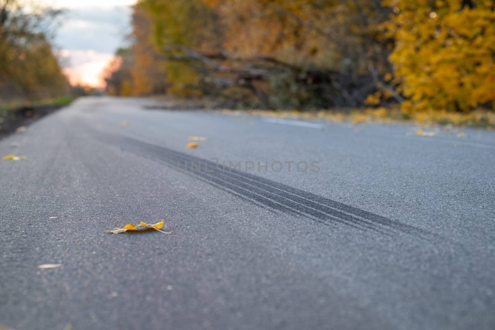 Tire track on the asphalt road, emergency braking, car accident by VitaliiPetrushenko