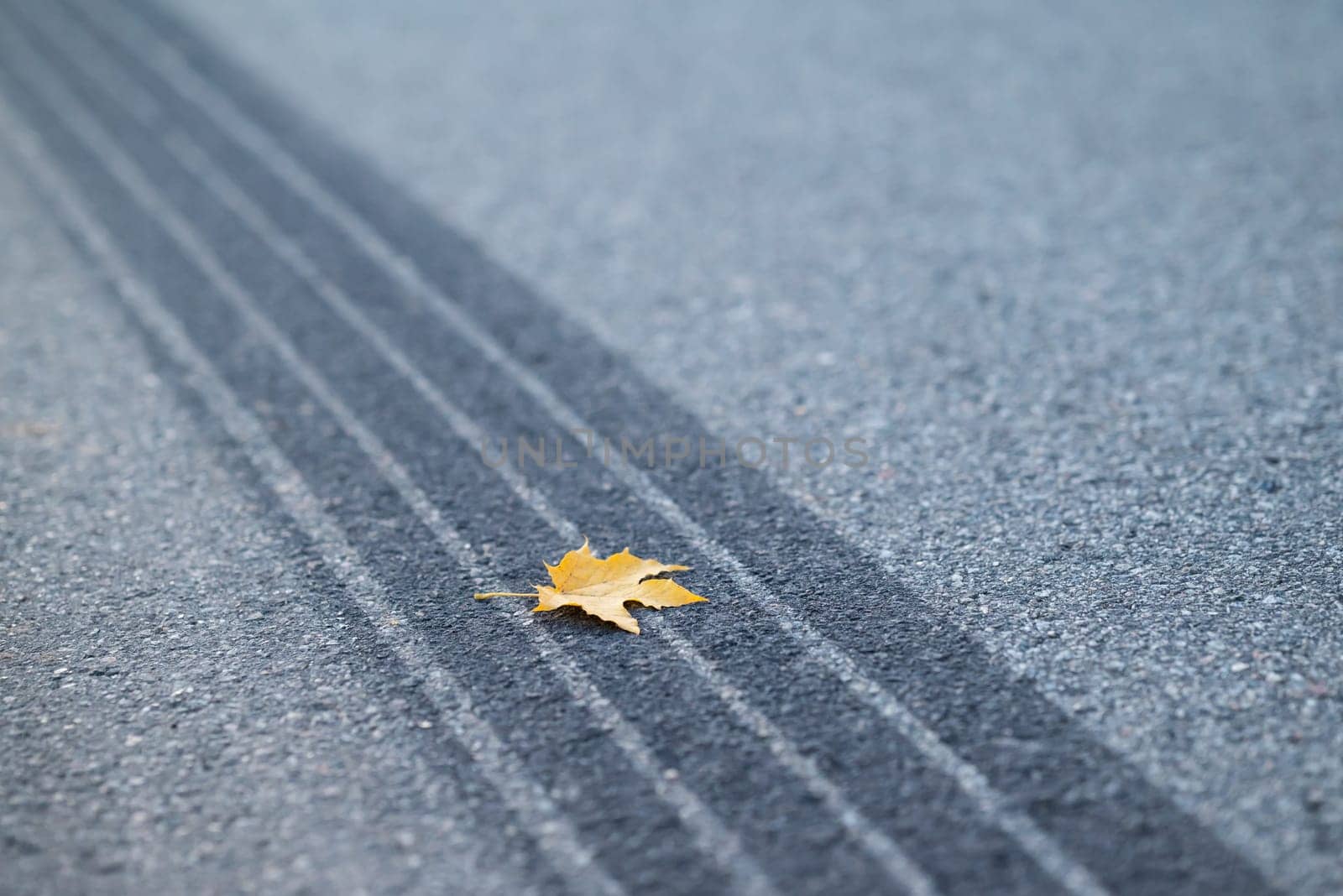 Symbol of often car accidents in autumn, because of bad weather and visibility on roads