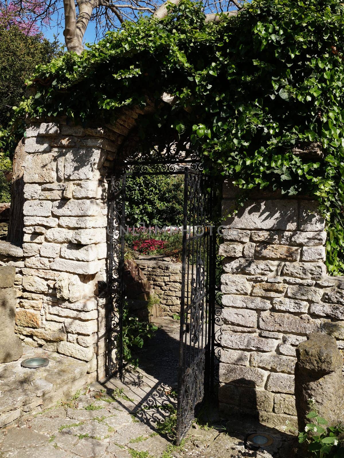 forged iron wicket in a stone wall overgrown with green creeping plants by Annado