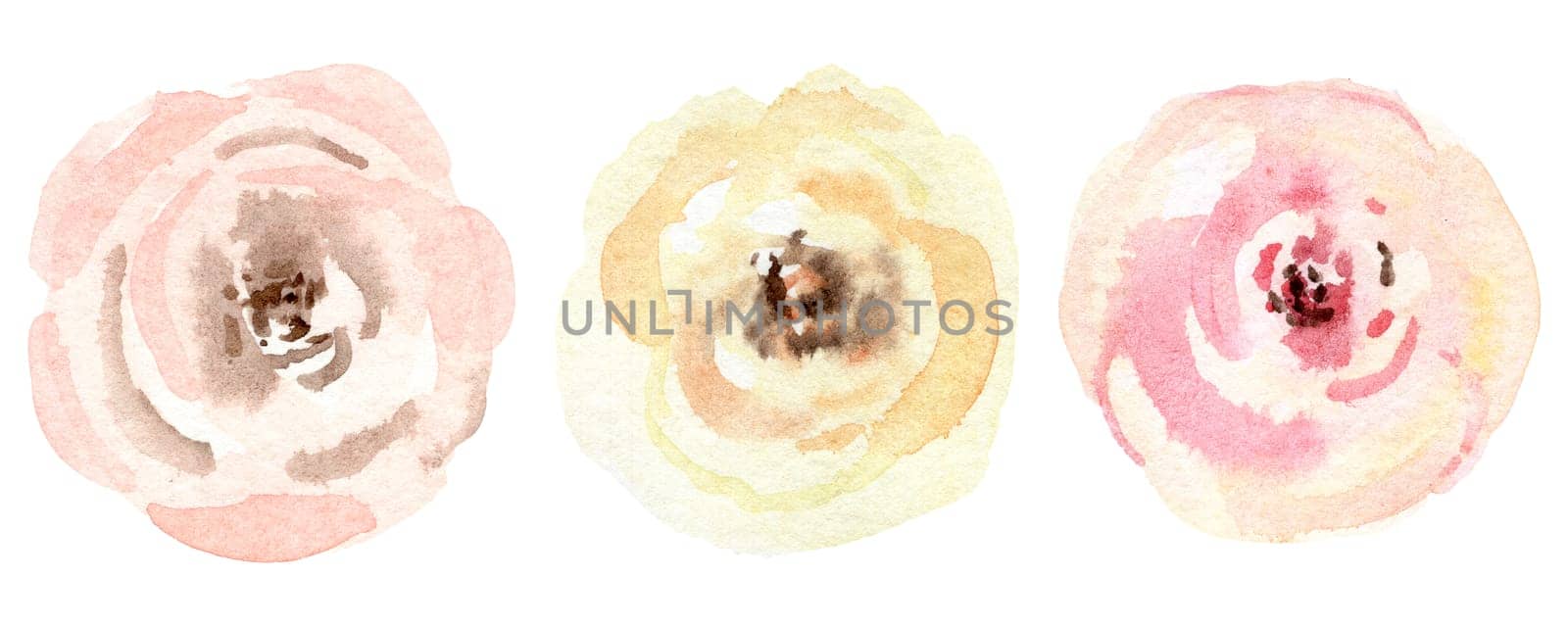 Watercolor flowers pastel color set illustration isolated on white background. Wedding card decoration