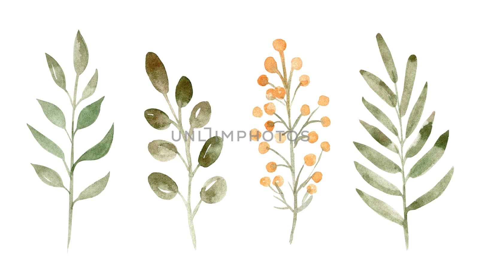 Watercolor green branches set illustration isolated on white background