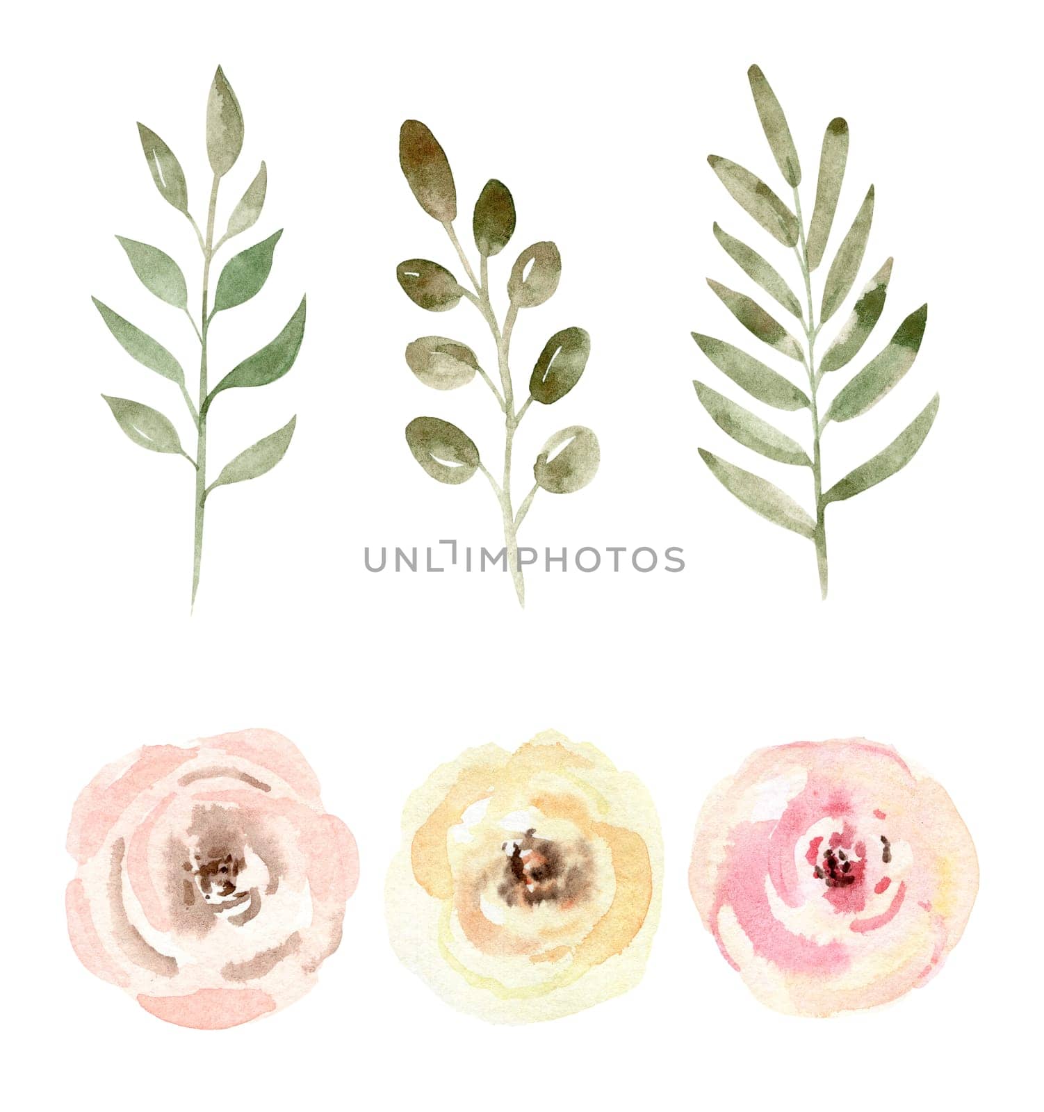 Watercolor branches and flowers set illustration isolated on white by dreamloud