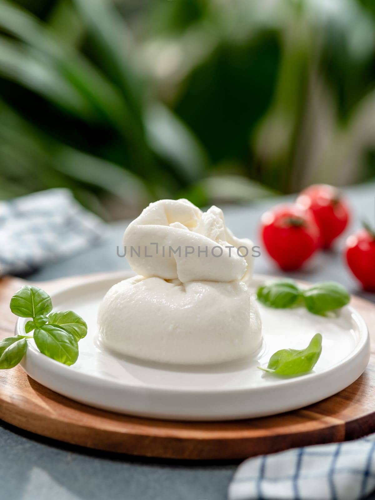 Fresh Italian cheese on white circle plate. White ball of burrata or burratina cheese, decorated basil and tomatoes. Soft white burrata cheese ball on blurred green background. Vertical. Copy space