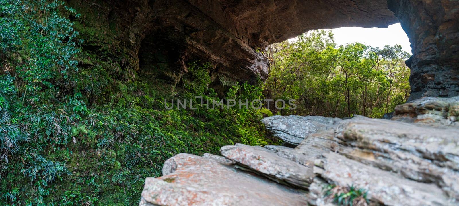 Tranquil rock ledge in a forest, provides a natural cover.