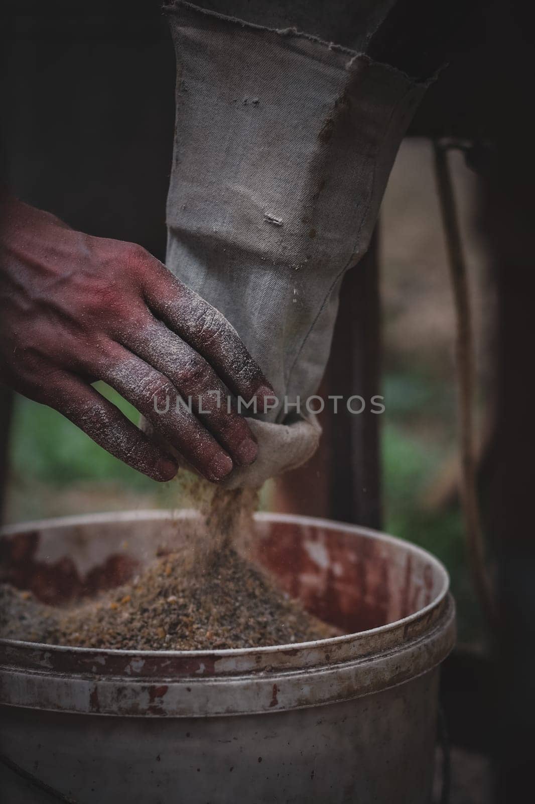 The hand of a young Caucasian unrecognizable man holds the sleeve of a crusher from which dry ground animal feed from cereals is poured into an old dirty bucket standing on the street of a village house in the countryside, close-up side view.