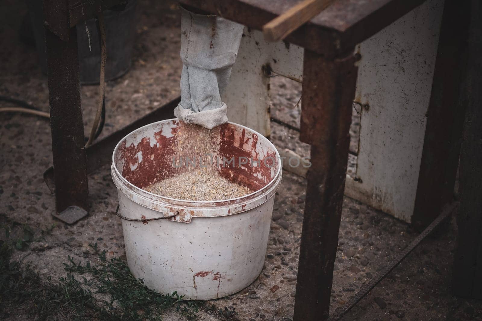 Dry ground animal feed from grains is poured into an old dirty bucket standing at the bottom of a homemade crusher on the street of a village house in the countryside, close-up side view in dark style.