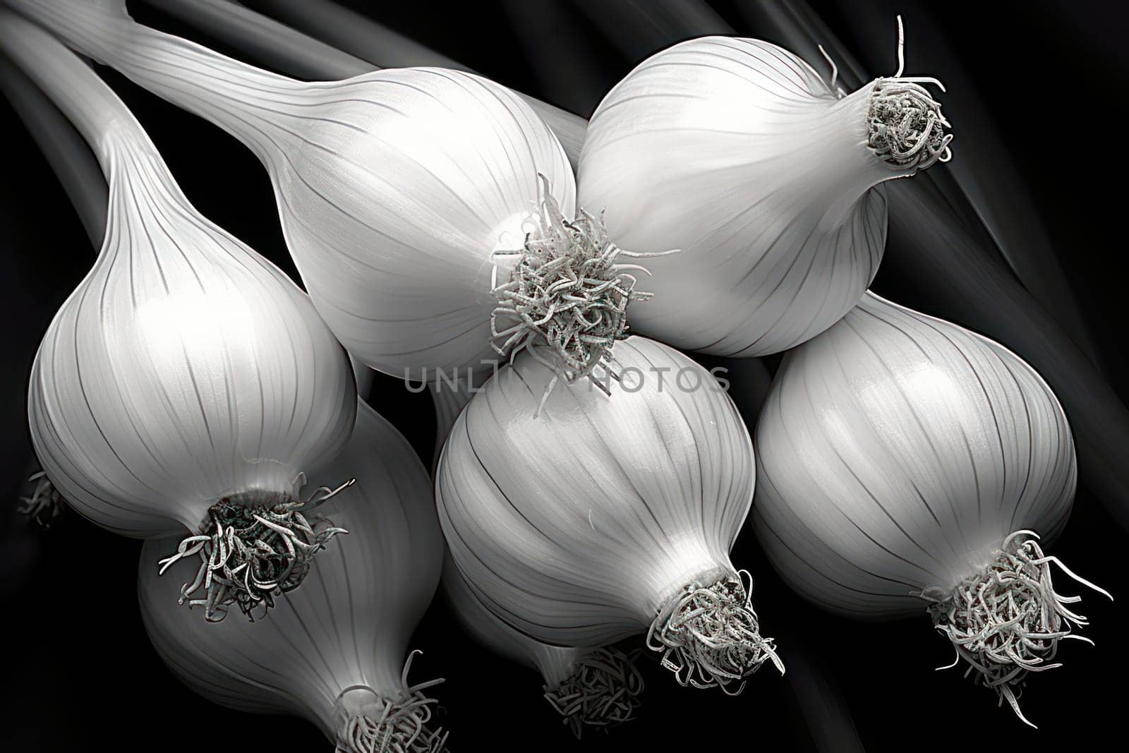 Fresh Organic Garlic Bulb, Aromatic Ingredient on Wooden Background by Vichizh