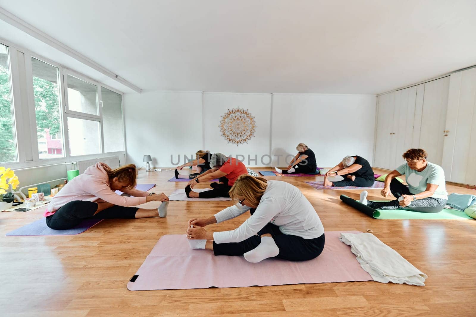 A group of senior women engage in various yoga exercises, including neck, back, and leg stretches, under the guidance of a trainer in a sunlit space, promoting well-being and harmony.