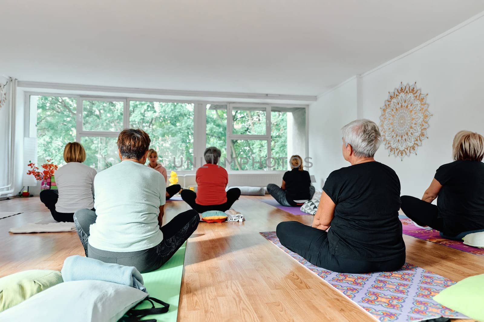 A group of senior women engage in various yoga exercises, including neck, back, and leg stretches, under the guidance of a trainer in a sunlit space, promoting well-being and harmony by dotshock