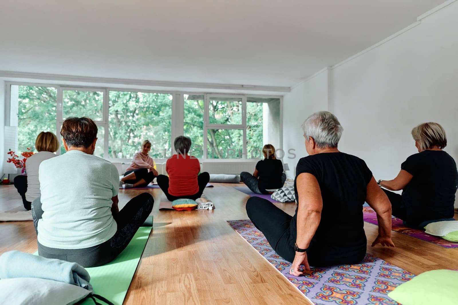 A group of senior women engage in various yoga exercises, including neck, back, and leg stretches, under the guidance of a trainer in a sunlit space, promoting well-being and harmony.