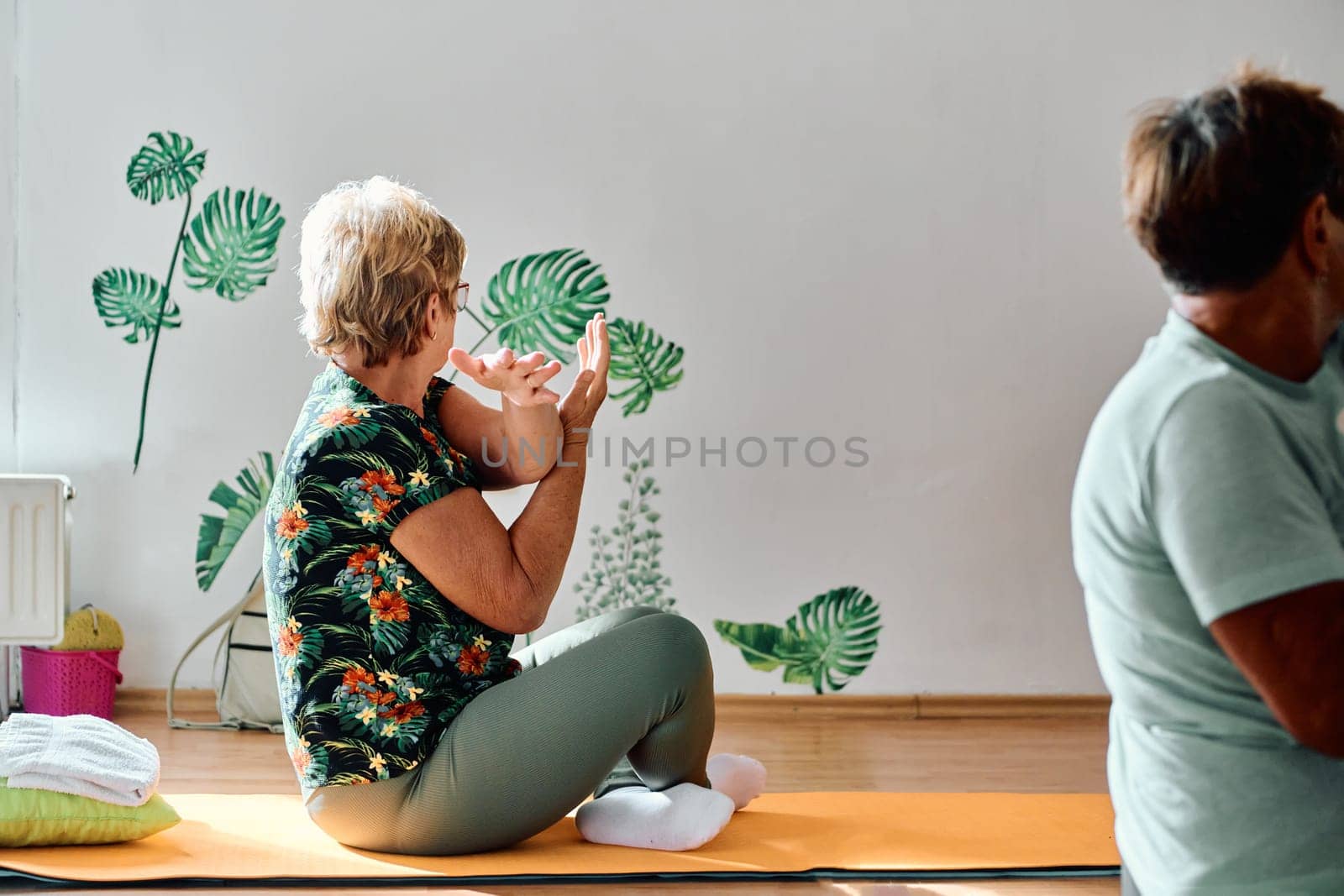 A group of senior women engage in various yoga exercises, including neck, back, and leg stretches, under the guidance of a trainer in a sunlit space, promoting well-being and harmony by dotshock