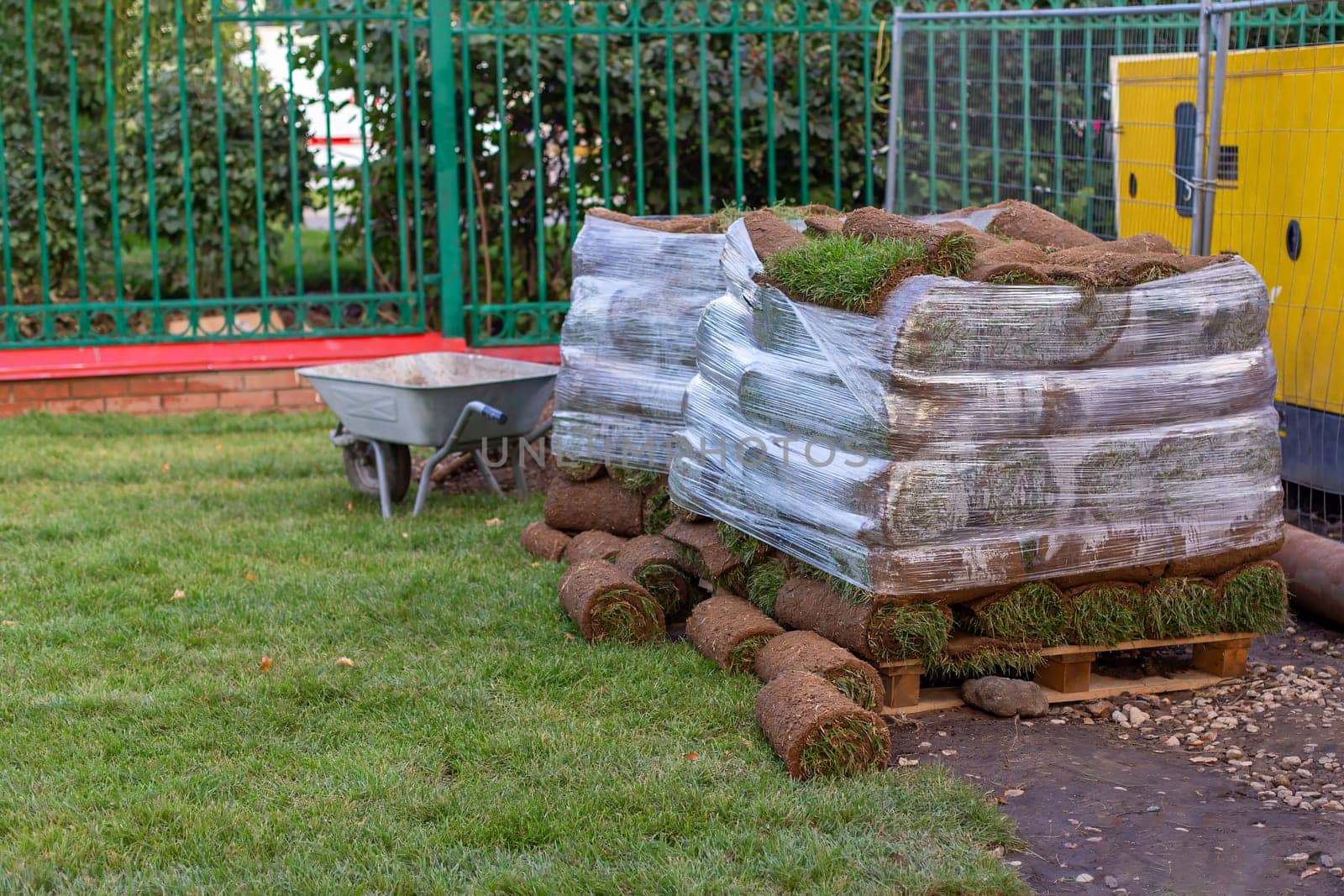 Fresh rolls of rolled lawn, prepared for laying the lawn in the landscaping area, with a wheelbarrow and a yellow generator in the background.