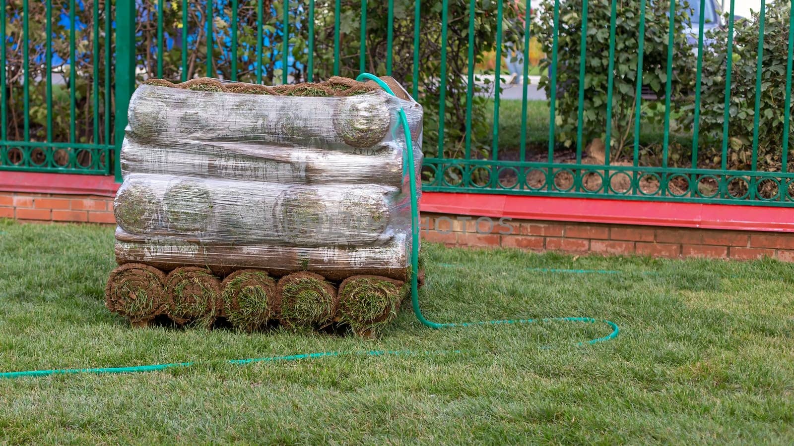 Stacked rolls of fresh sod ready for laying out on a landscaped lawn, with a garden hose nearby