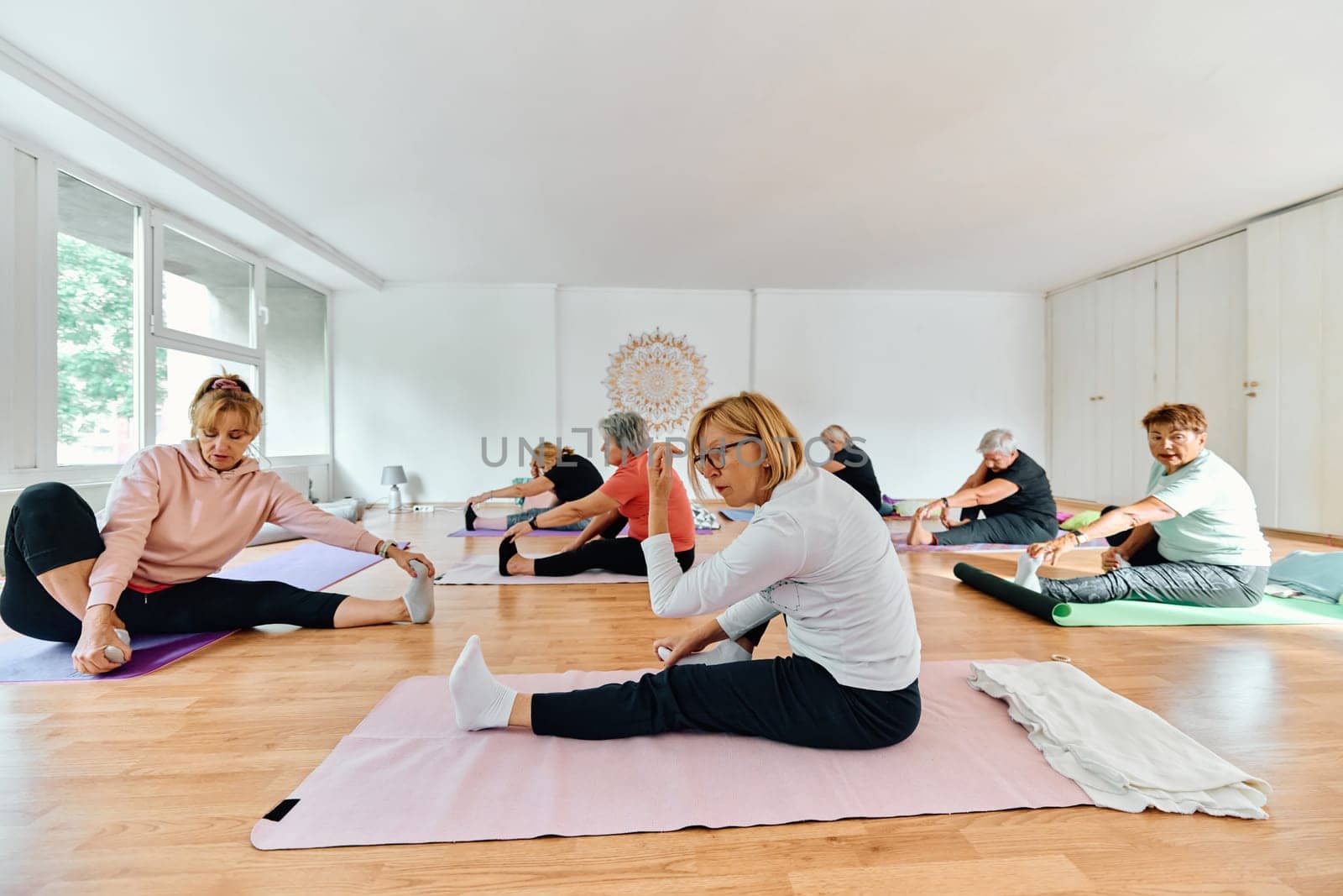 A group of senior women engage in various yoga exercises, including neck, back, and leg stretches, under the guidance of a trainer in a sunlit space, promoting well-being and harmony.