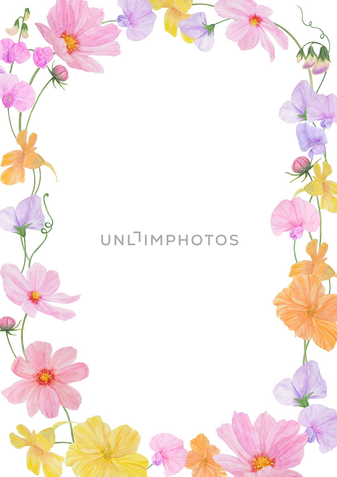 Watercolor botanical colourful frame of summer and autumn flowers: pink and lilac lathyrus and yellow and orange nasturtium. Good for wedding print products, paper, invitations, greetings, fabric, posters, textile