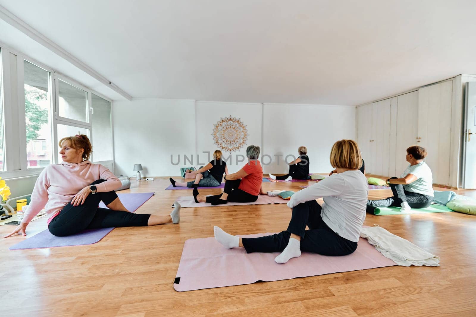 A group of senior women engage in various yoga exercises, including neck, back, and leg stretches, under the guidance of a trainer in a sunlit space, promoting well-being and harmony.