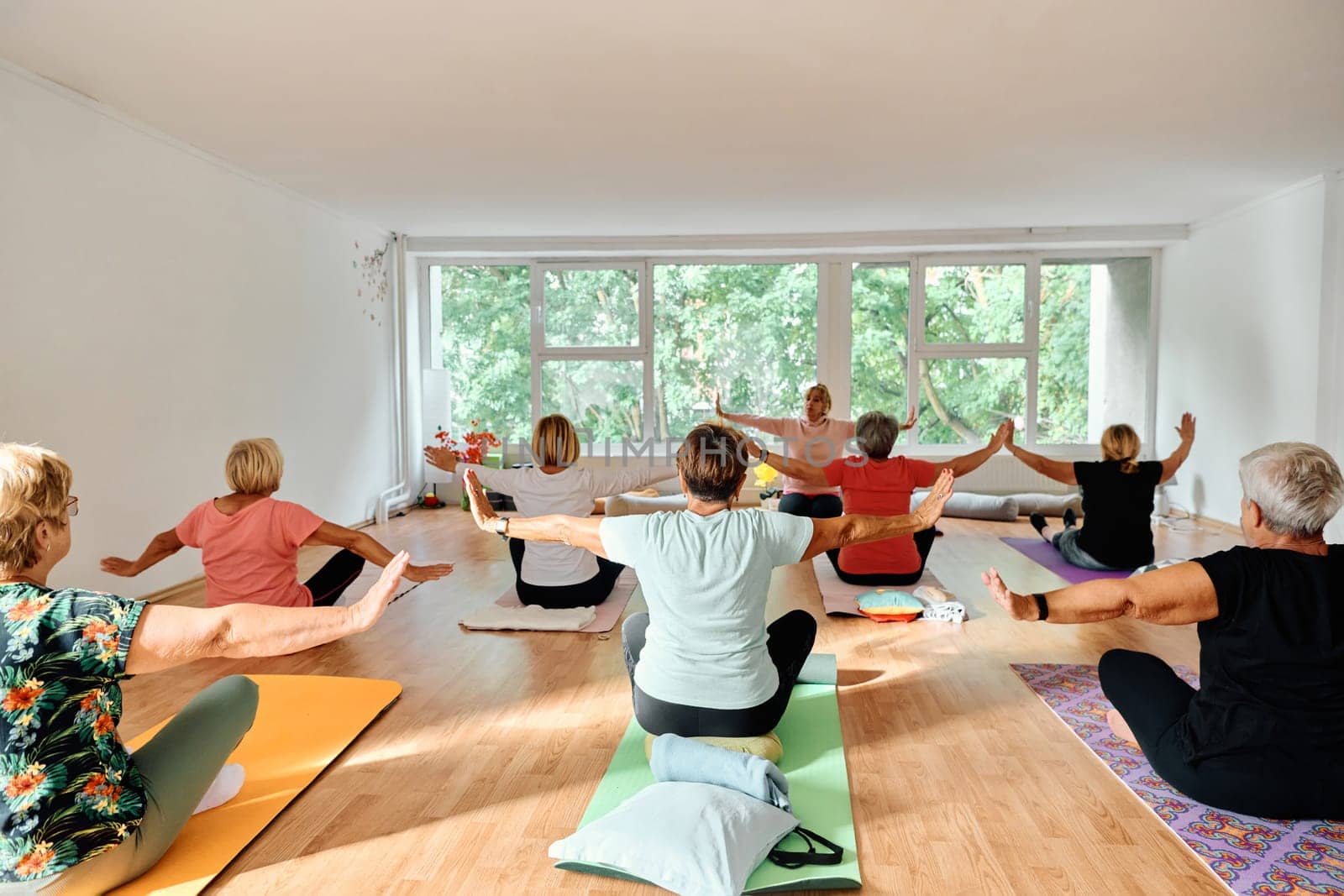 A group of senior women engage in various yoga exercises, including neck, back, and leg stretches, under the guidance of a trainer in a sunlit space, promoting well-being and harmony.