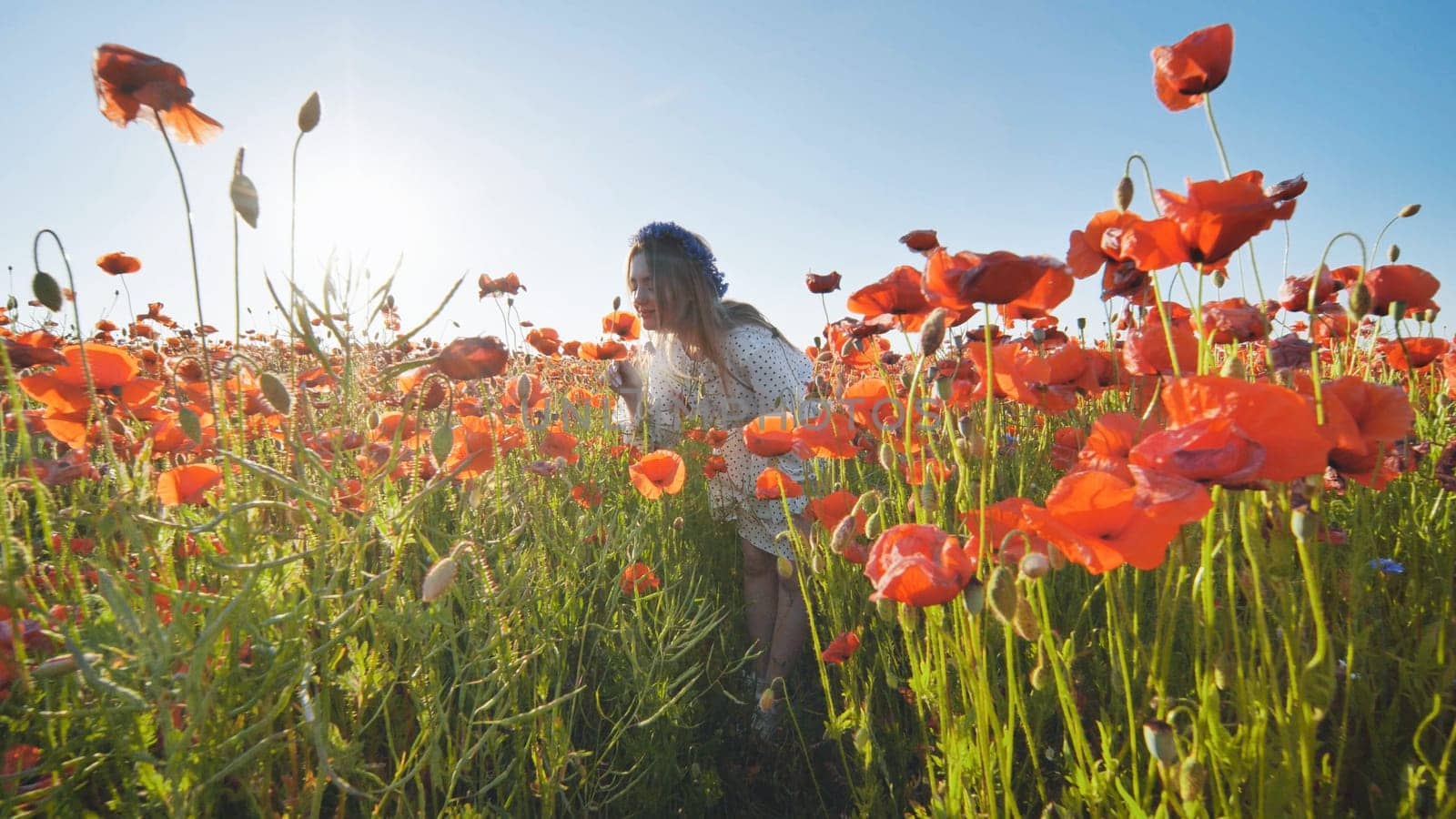 Ukrainian girl walking through a red poppy field