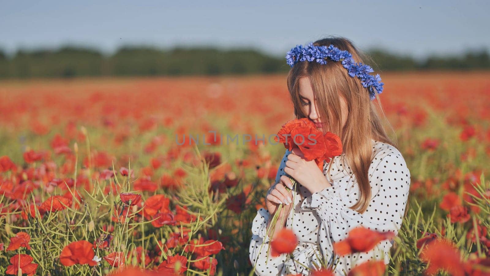 Ukrainian girl collecting and smelling a bouquet of poppies in a field of poppies