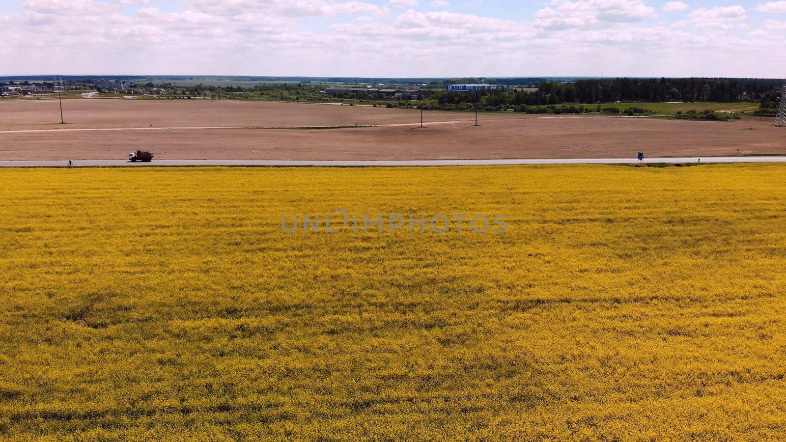 A field of rapeseed next to the highway and passing cars. by DovidPro
