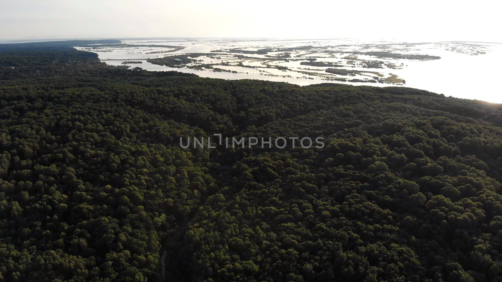 Nature on the Amur River in Russia. Aerial view