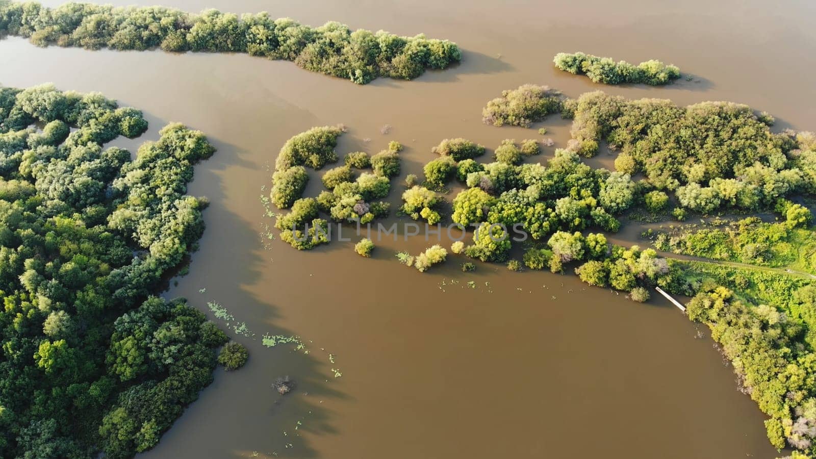 Nature on the Amur River in Russia. Aerial view. by DovidPro