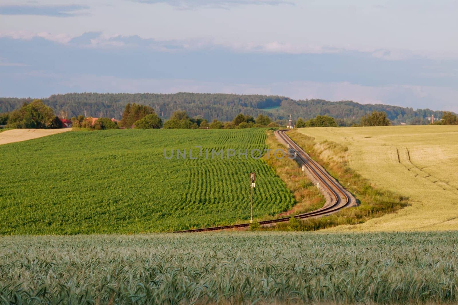 Railway runs alongside green fields, connecting distant towns and cities by Yaroslav
