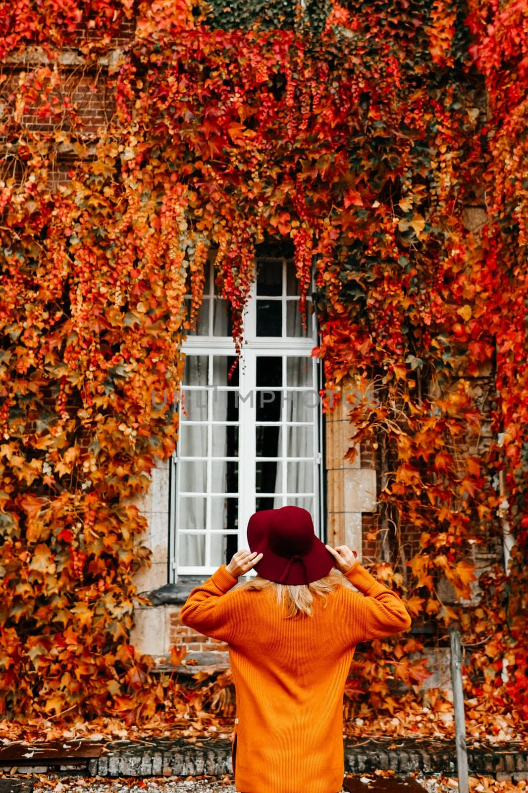 Woman in an orange sweater near a wall with wild grapes in autumn