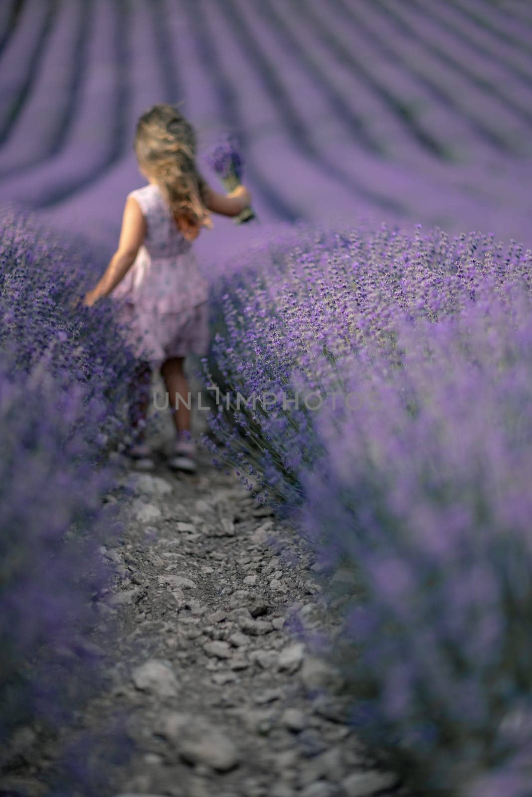 Lavender field girl. Back view happy girl in pink dress with flowing hair runs through a lilac field of lavender. Aromatherapy travel.