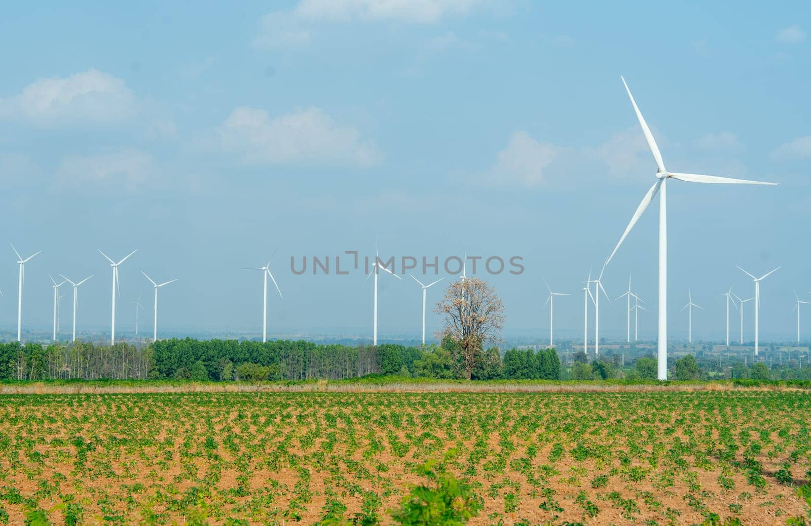 Row or stack of windmill or wind turbine in the field look like farm in area of green power plant and no people. by nrradmin