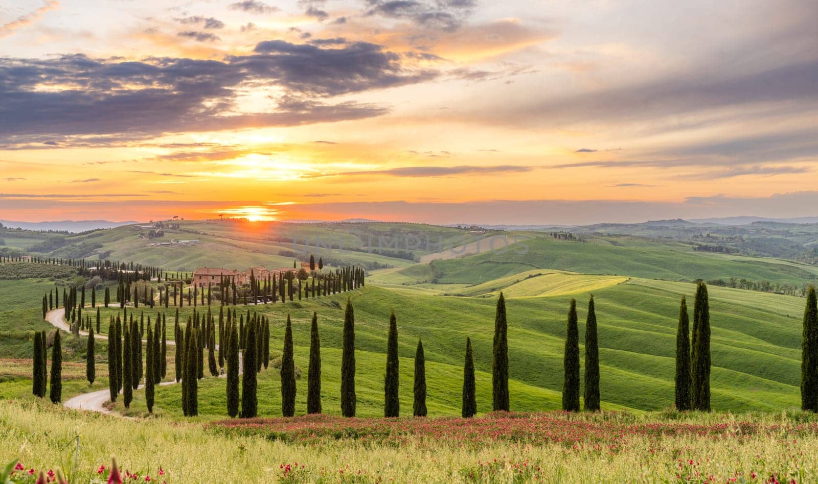 Path to hill house through cypress trees and sunrise view of stunning rural landscape of Tuscany, Italy