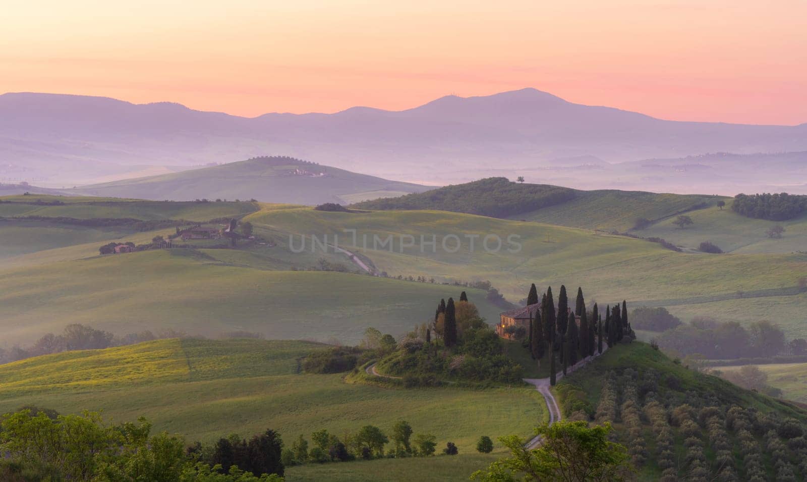 Path to hill house through cypress trees and sunrise view of stunning rural landscape of Tuscany, Italy by Sonat