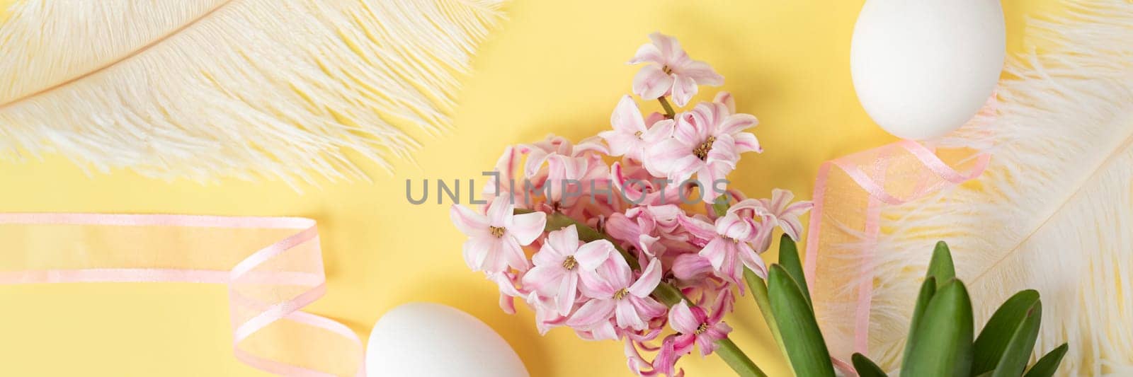 banner of hyacinth flowers with two white eggs, and white feathers, and pink ribbon on pastel yellow colors. Happy Easter concept. Easter background. Top view
