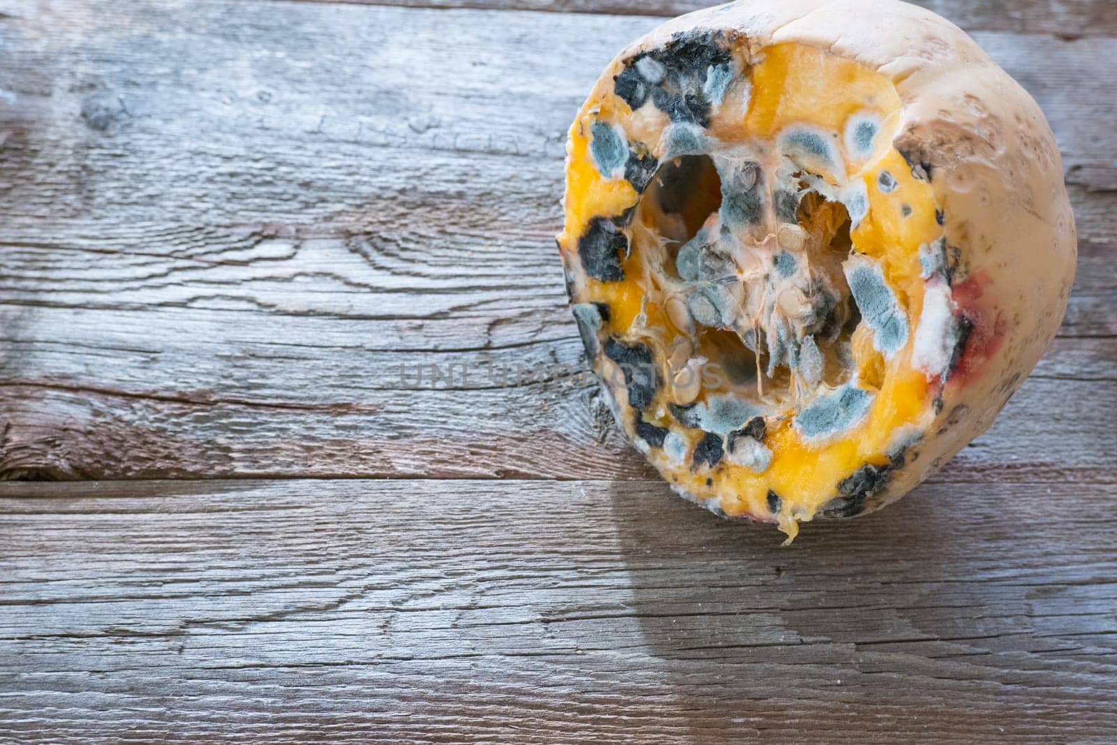 Orange moldy pumpkin on a wooden background. Mold and fungi on food, mold development, pests of stored vegetable products, a common problem