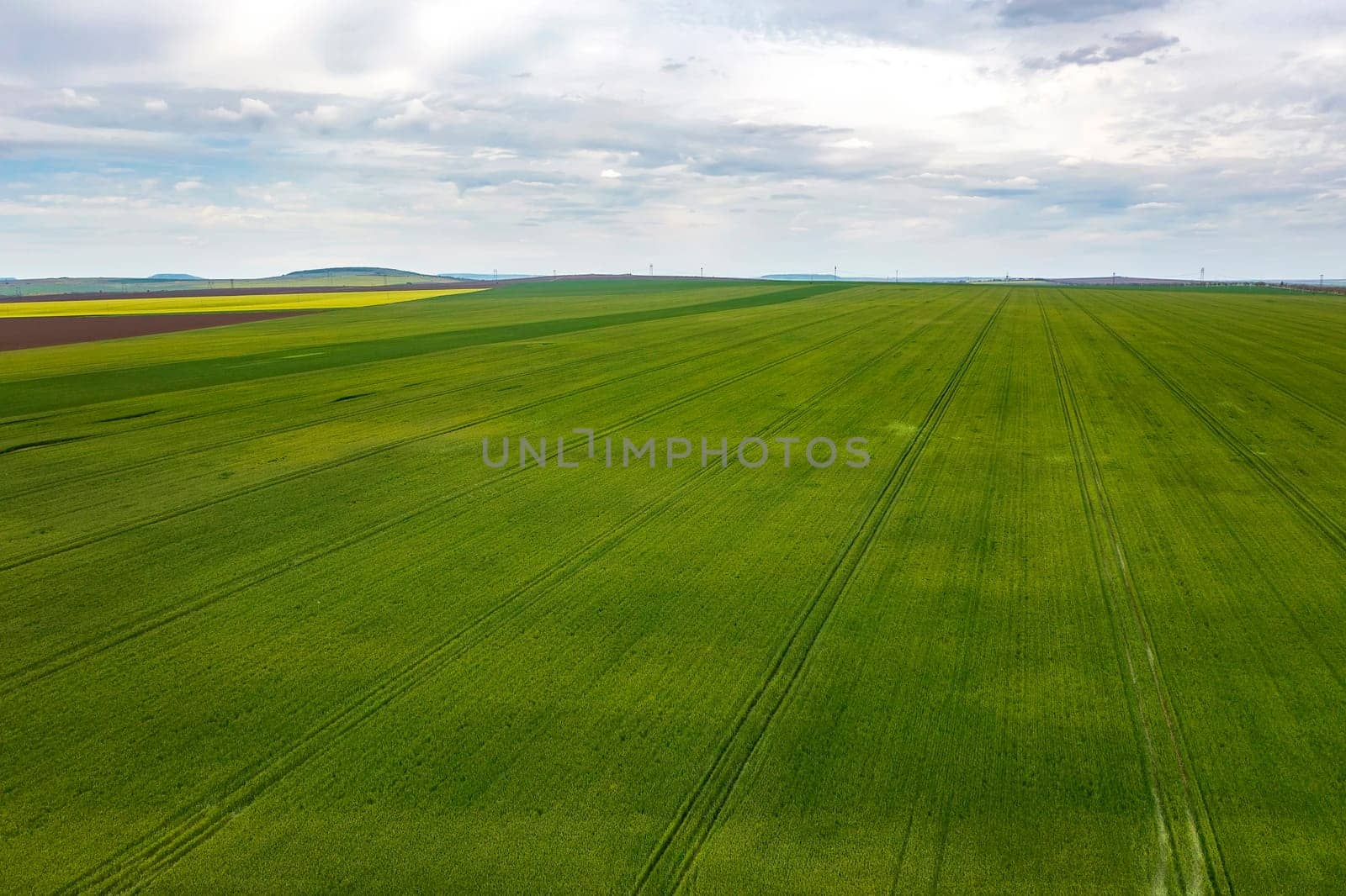 Aerial landscape of young green wheat and cloudy sky by EdVal