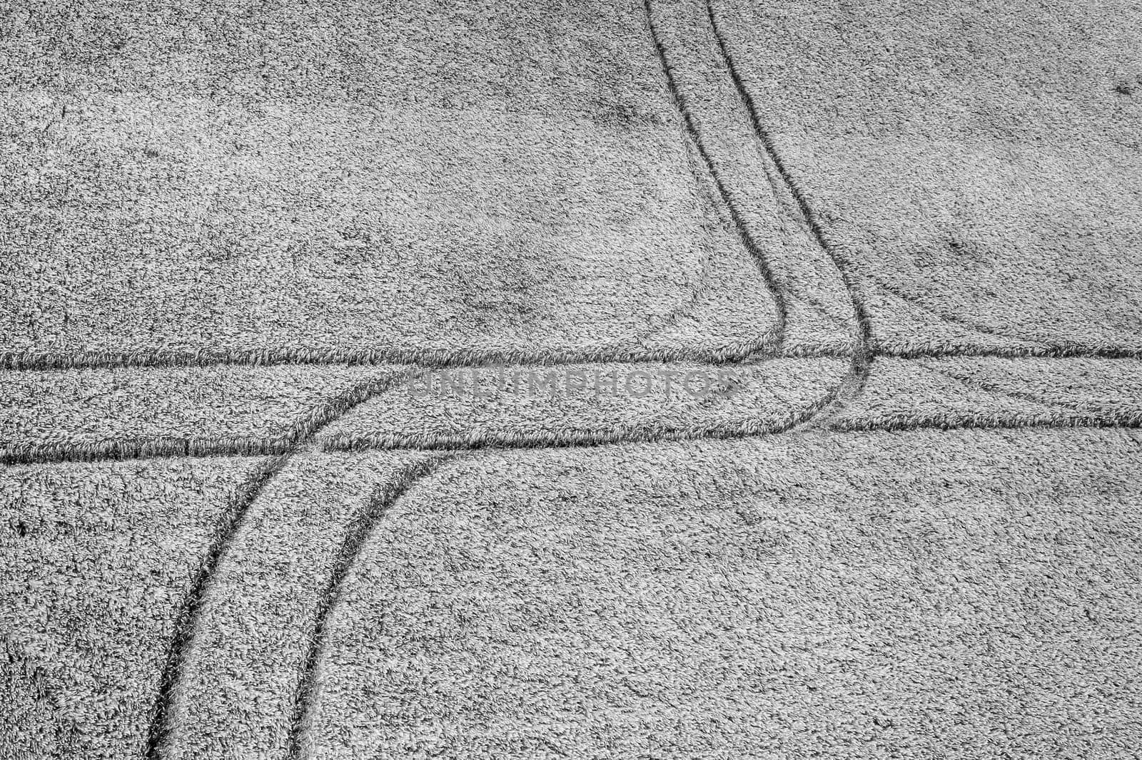 Abstract aerial view of traces on the field. Black and white