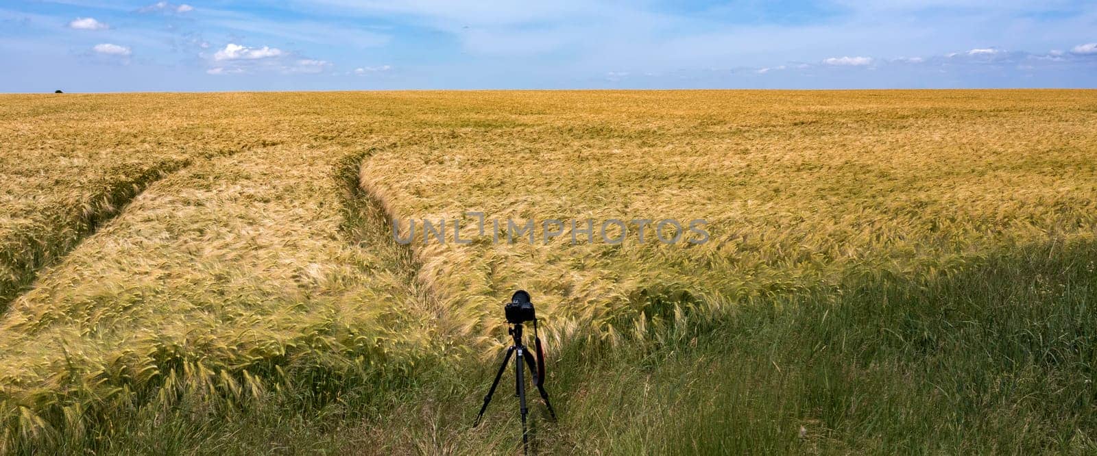 A camera on a tripod shooting landscape by EdVal