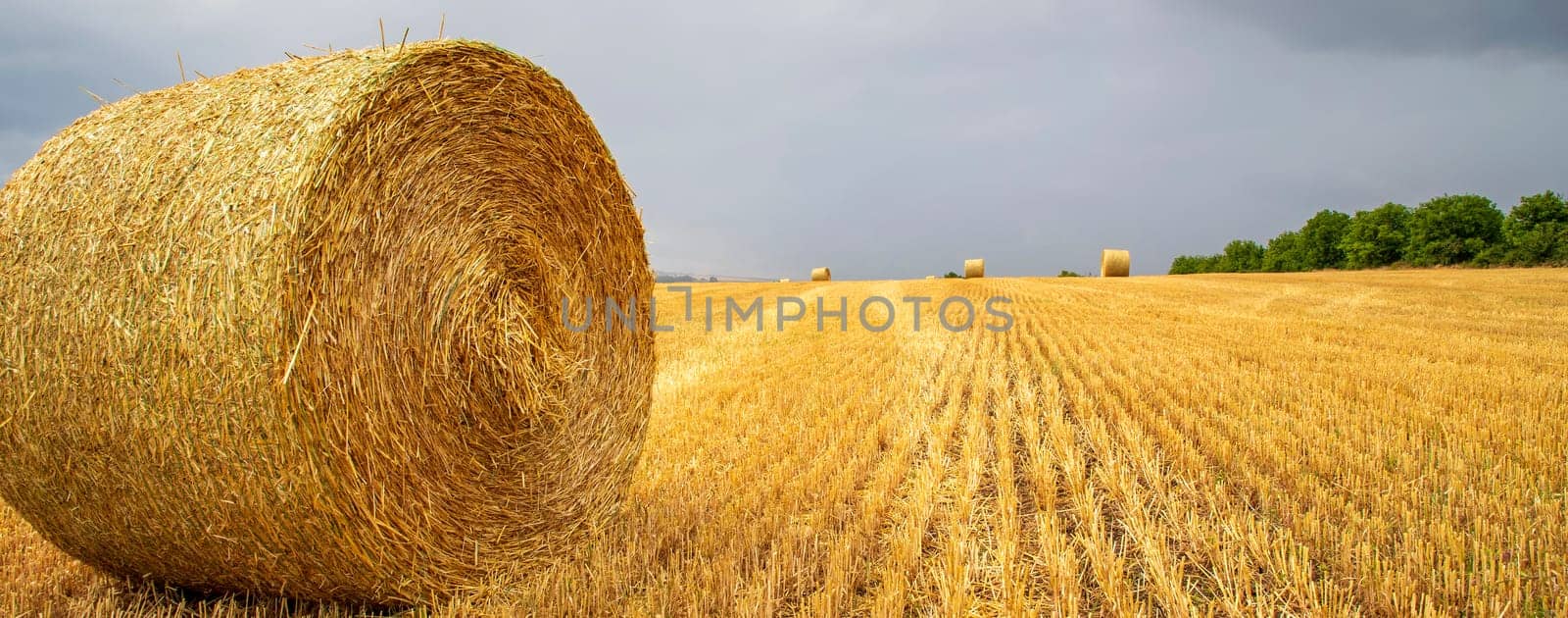 Panoramic view of big bales of hay on the field after harvest