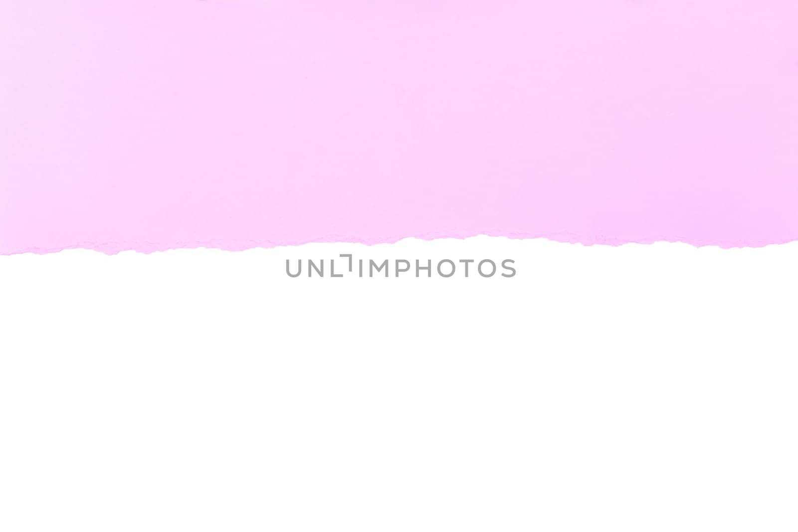 Pink paper torn in half page isolated on white background by EdVal