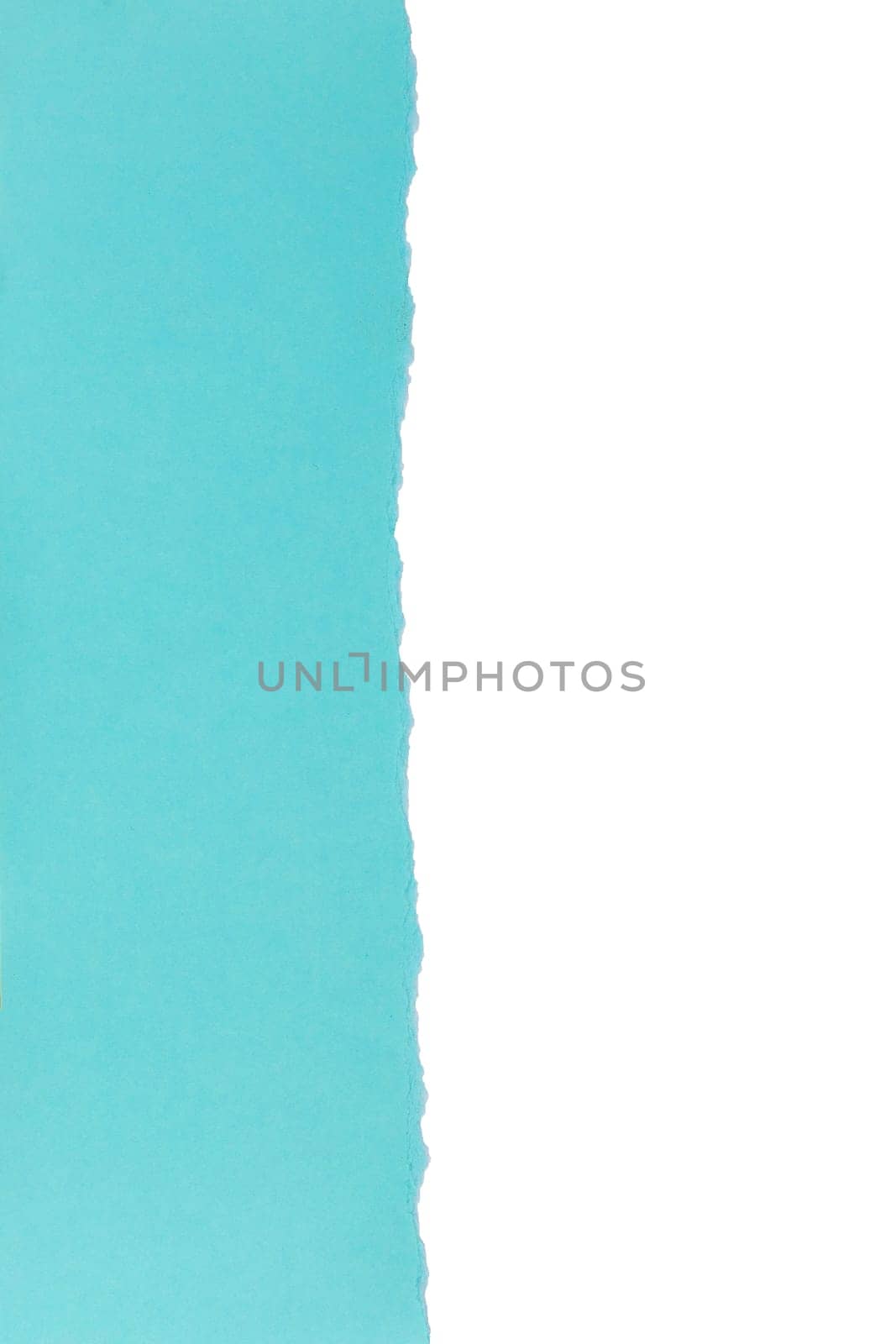 Blue paper torn in half page isolated on white background. Vertical