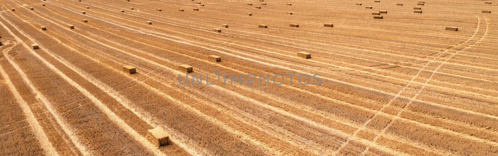 Hay bales on the field after harvest. Panoramic view by EdVal