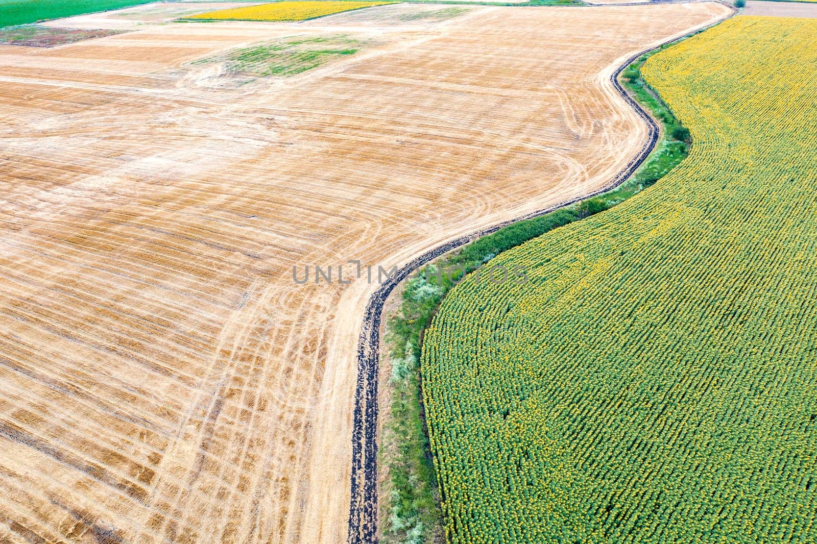 Abstract view of a field separated by a green border by EdVal