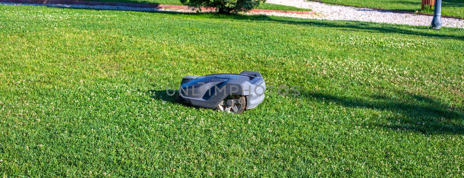 Lawn robot mows the lawn. Robotic Lawn Mower cutting grass by EdVal
