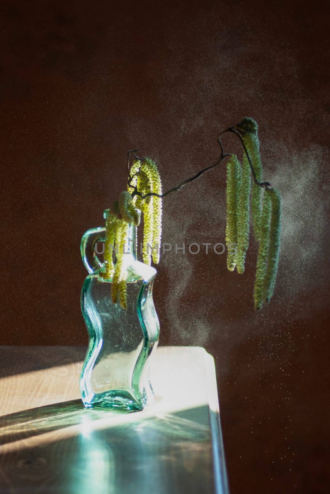 original still life with a branch of a blooming hazelnut, dusty pollen in the rays of the sun, a glass vase on a chest of drawers, High quality photo