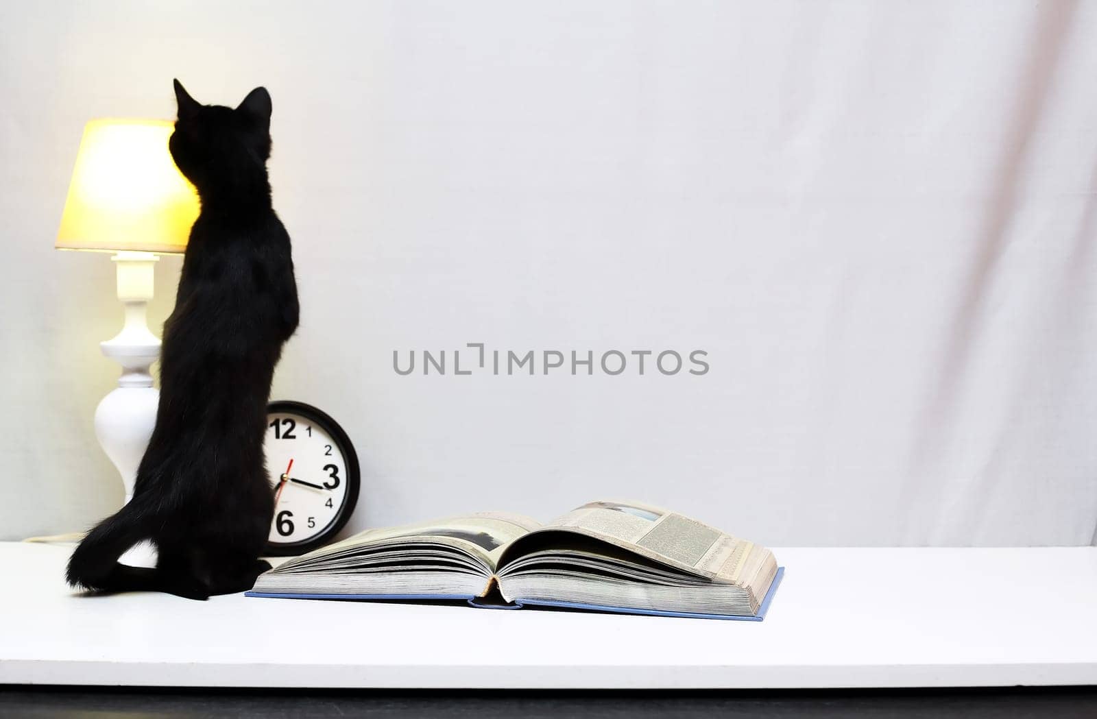 A small black kitten near table lamp, clock and open book