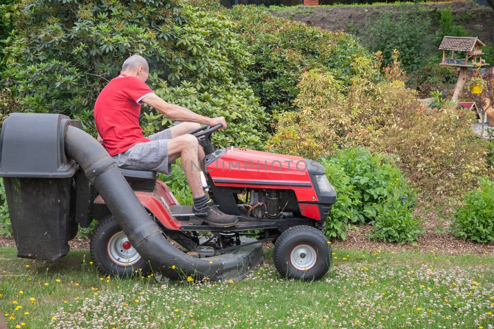 Lawn mower mows the grass, a middle-aged male gardener works on a mini tractor in the garden, rotary, High Quality Photo
