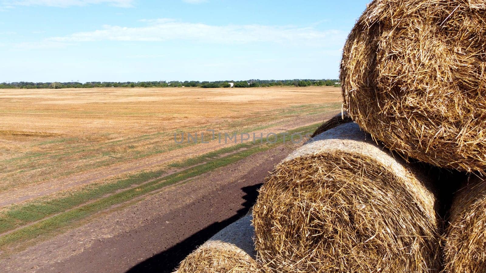 Many bales of straw in the field. Many bales rolls of wheat straw stacked together in field after harvest on summer day. Agricultural agro-industrial agrarian field. agribusiness. Aerial drone view.